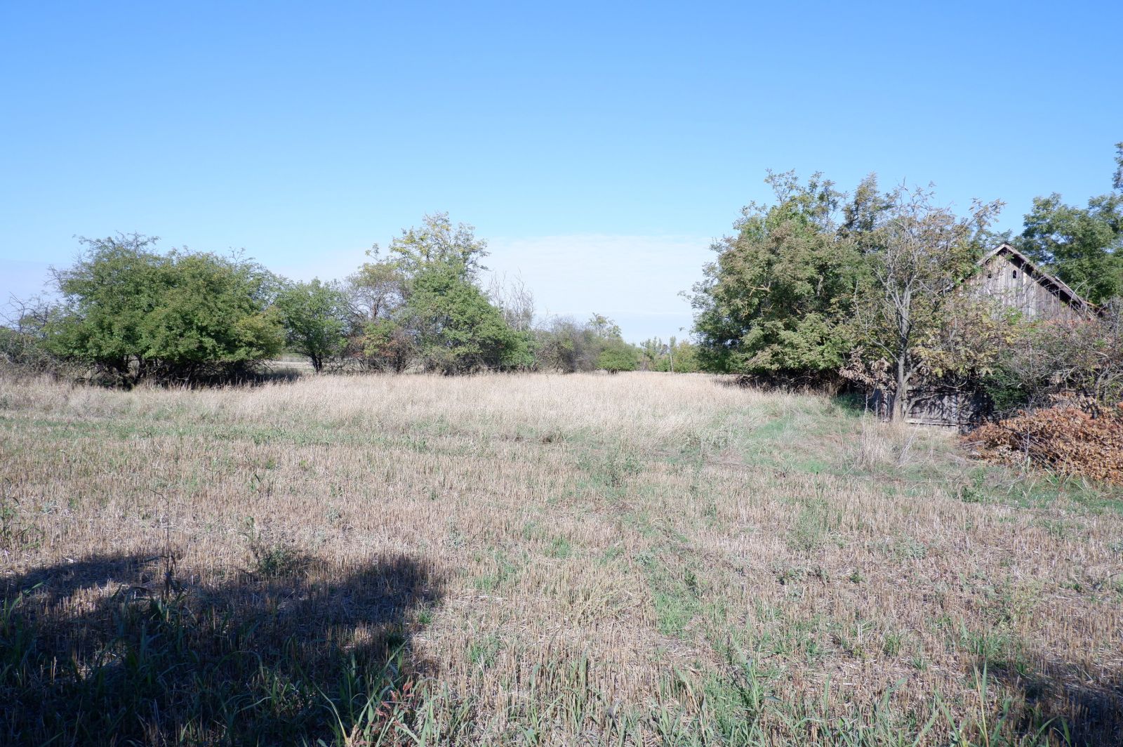 Békéscsaba Megyei Jogú Város weblapja