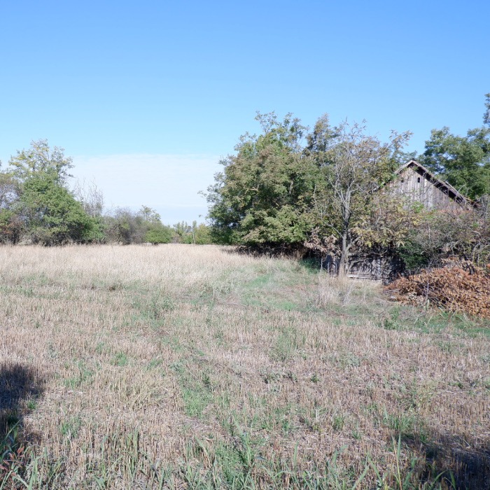 HIRDETÉS: Eladó Békéscsaba 0909/2 helyrajzi számon nyilvántartott összesen: 5754 m2 területű, 14,64 aranykorona értékű, „kivett” tanya, szántó, szérűskert művelési ágú külterületi ingatlan