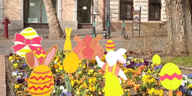 blooming public spaces, vibrant city image