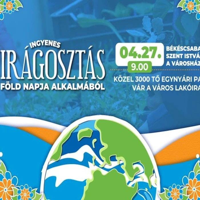 tavaszi virágosztás képe