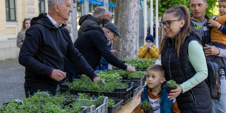 több ezer palánta talált gazdára a föld napján képe