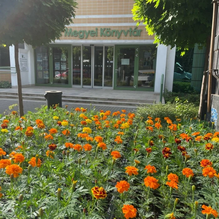 színes virágokkal szépülnek a városi intézmények képe