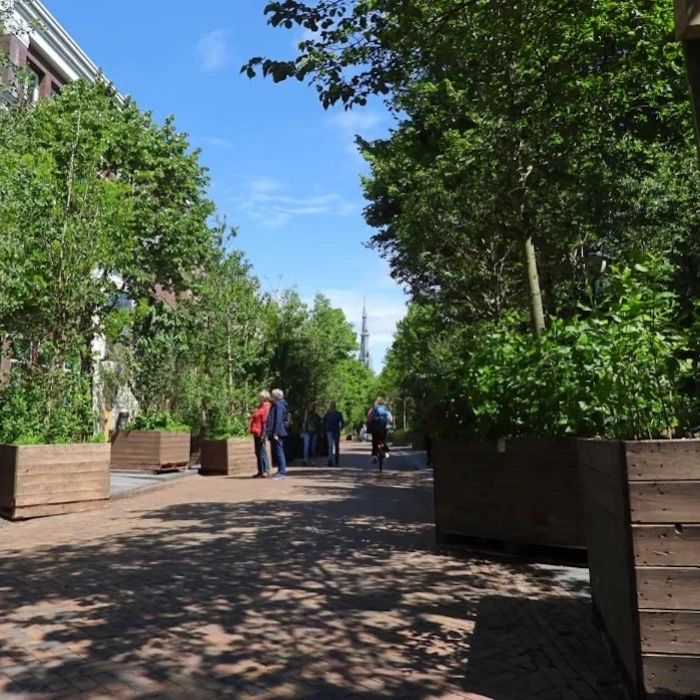 "sétáló erdő" a közösség erejével képe