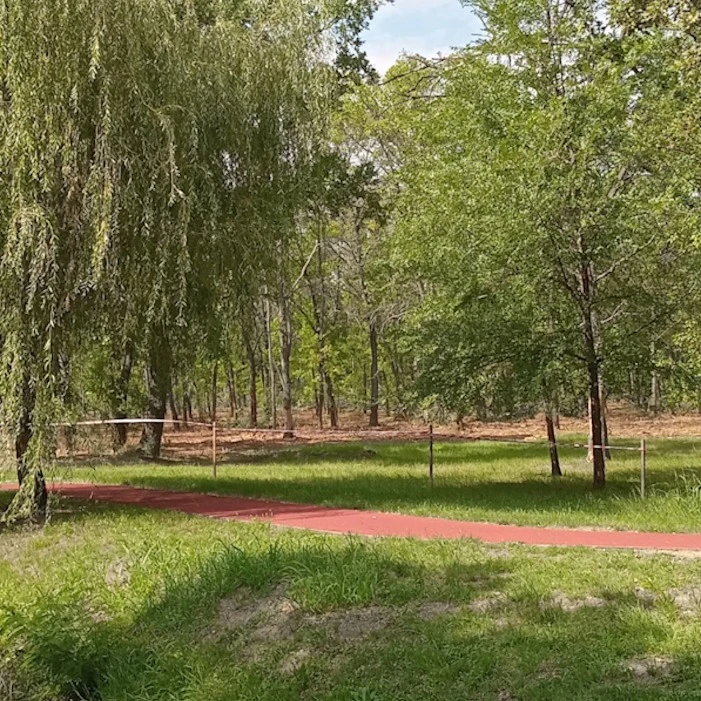 ősszel kezdődik a város legnagyobb zöld programja képe