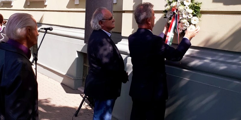 20191004_115008 (002) képe