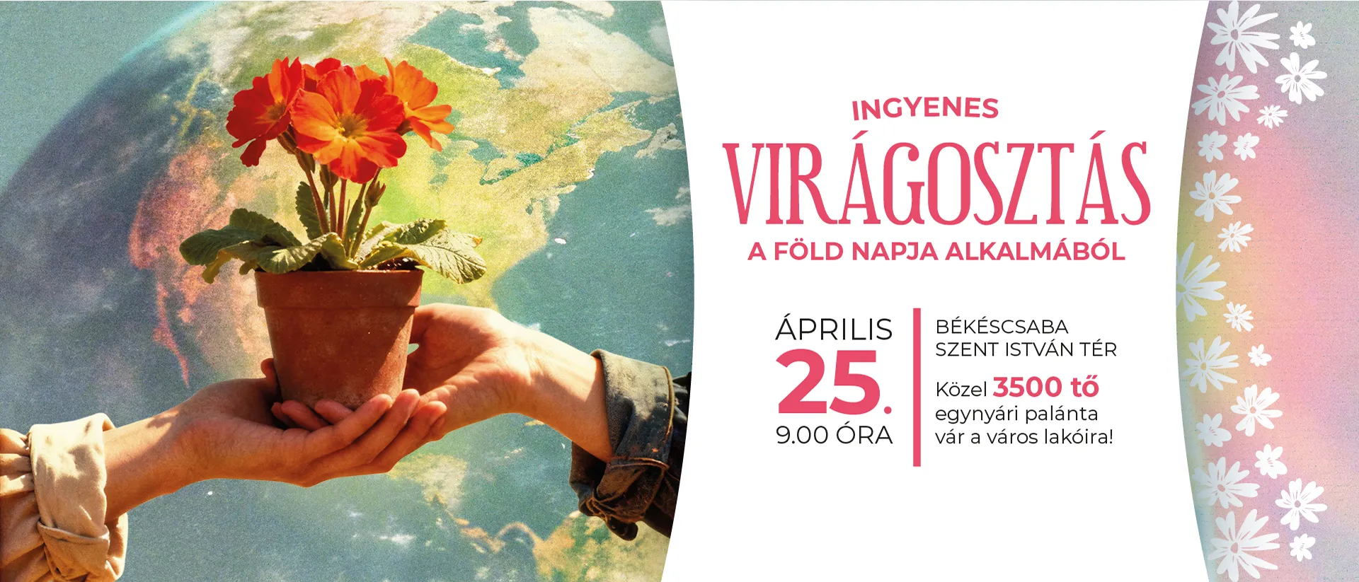 virágosztás képe